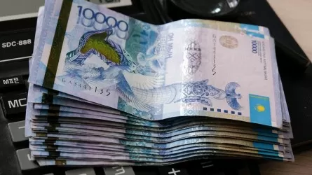 Павлодарская область стала лидером инвестиций в АПК РК 