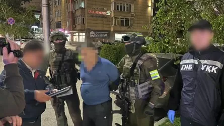 Крупный удар по наркобизнесу в Казахстане: изъяты тонны сырья