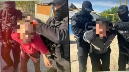 Фуры, полные краденого скота: как действовала дерзкая ОПГ в Алматинской области