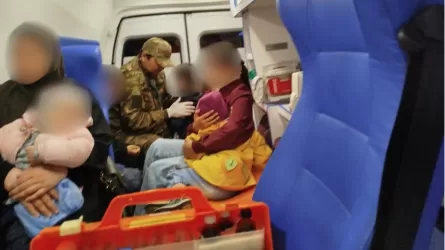 Шесть человек пострадали в ДТП с лошадью на трассе в Павлодарской области 