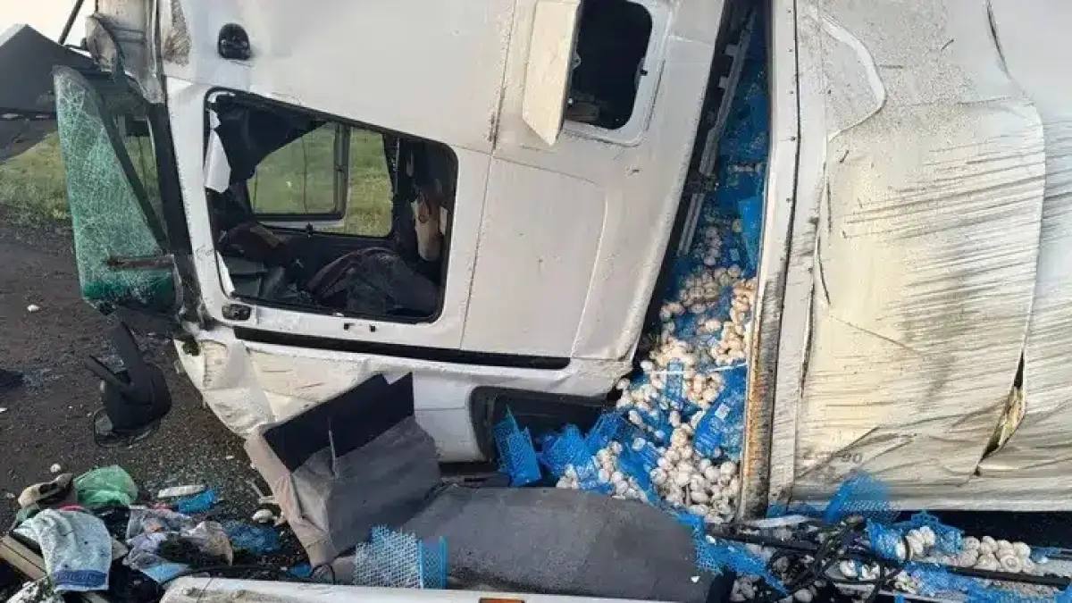 Ақмола облысында 17 тонна саңырауқұлақ тиеген жүк көлігі аударылды