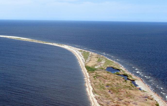 Там, где было море: на Каспии бывшие проливы покрылись травой 