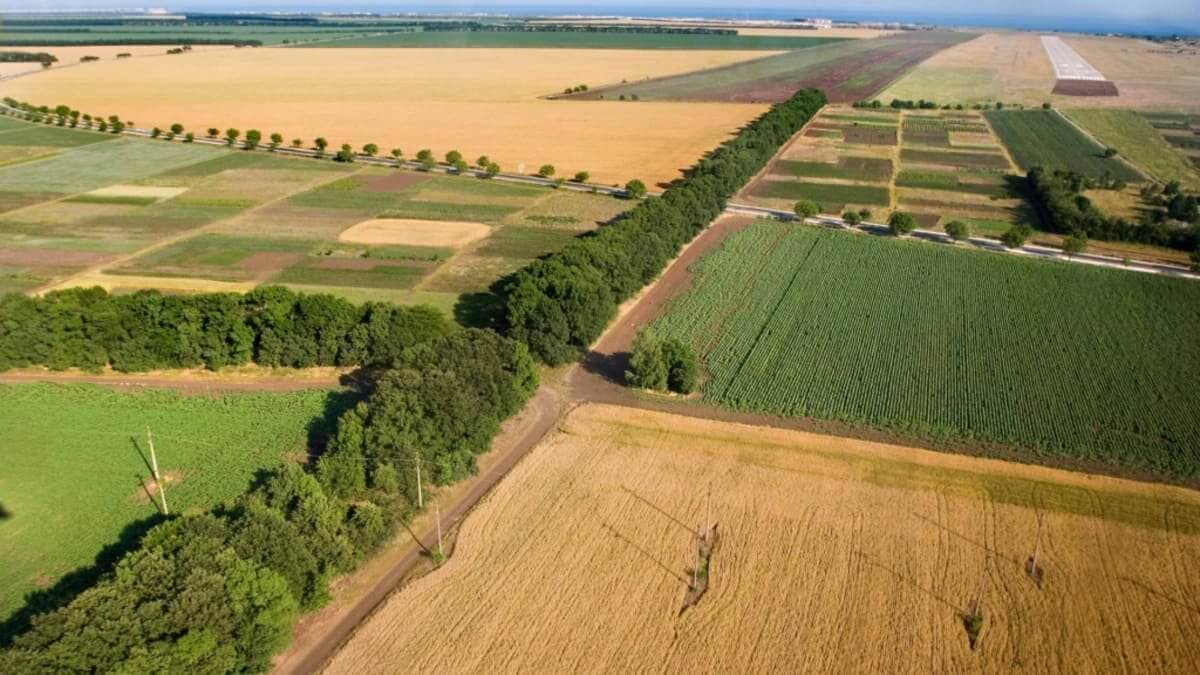 2 мың гектардан астам жер заңсыз бөлінгені анықталды