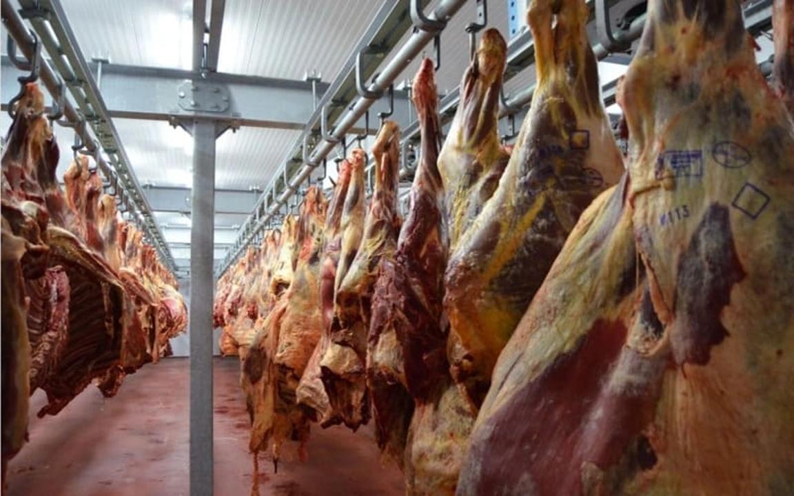 Қазақстанда ет өндіру көлемі 338 мың тоннадан асты