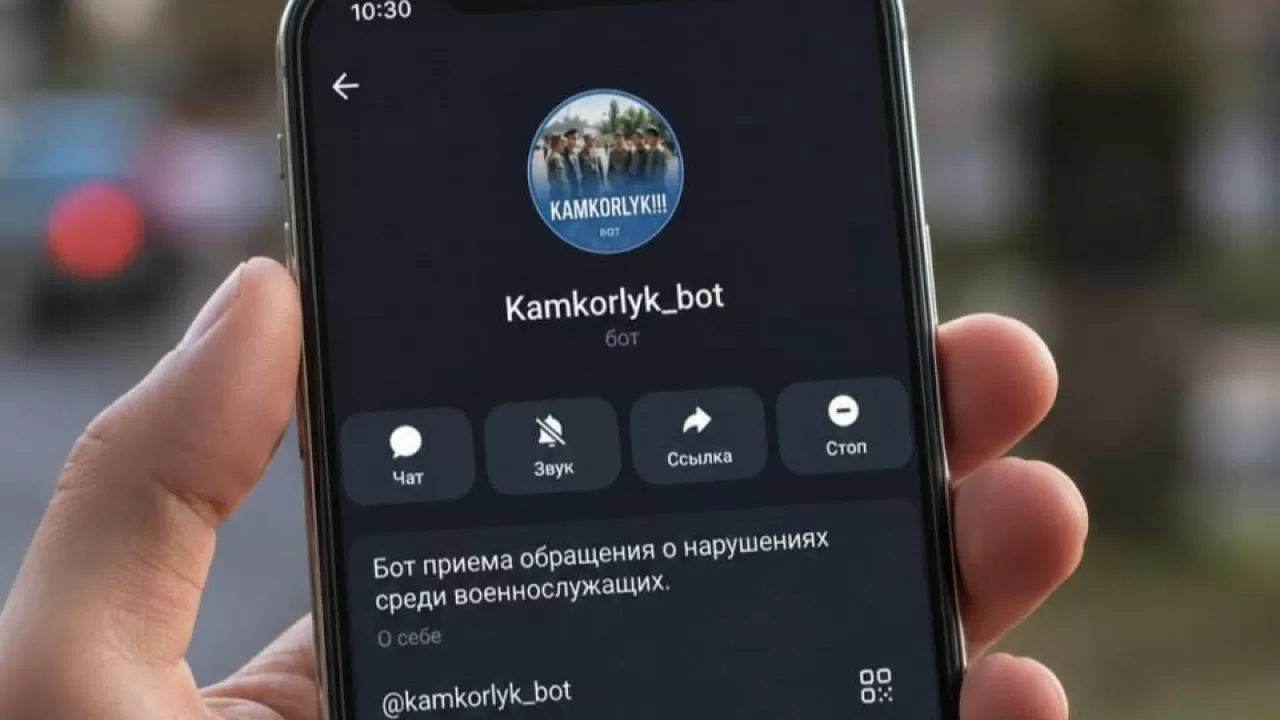 Telegram-бот для сообщений о нарушениях запустили в Караганде 
