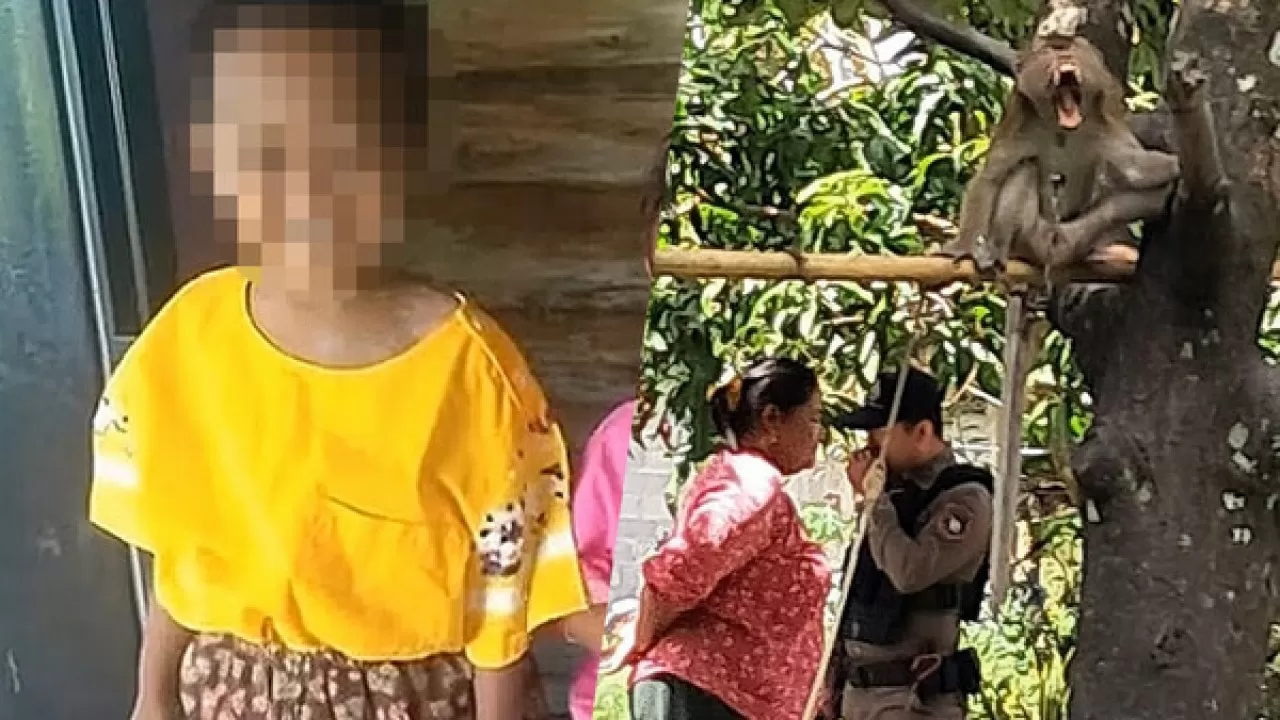 В Таиланде домашняя обезьяна напала на 6-летнего мальчика