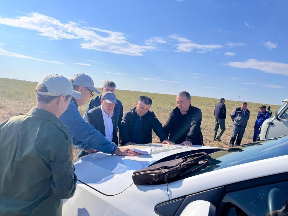 Қазақстанда шегіртке зиянкестеріне қарсы 954 мың гектар өңделді