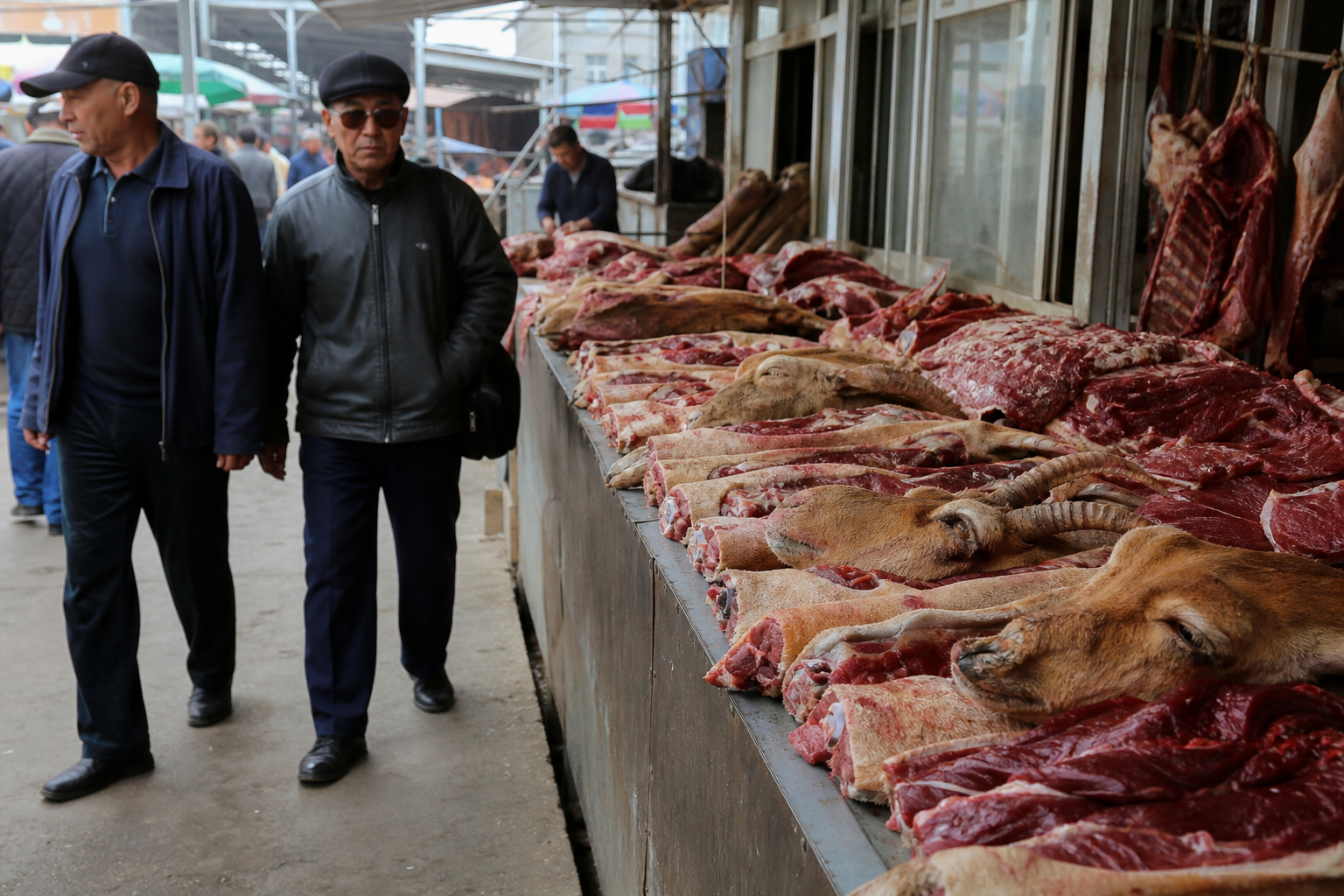 Вопреки дороговизне мяса казахстанцы не покупают сайгачатину 