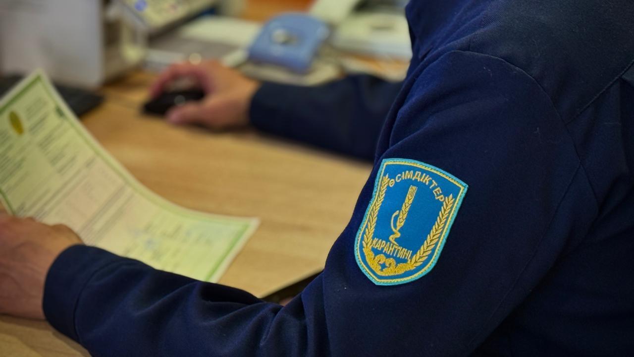 Ресейден әкелінген ағаштан қауіпті карантиндік зиянкес анықталды