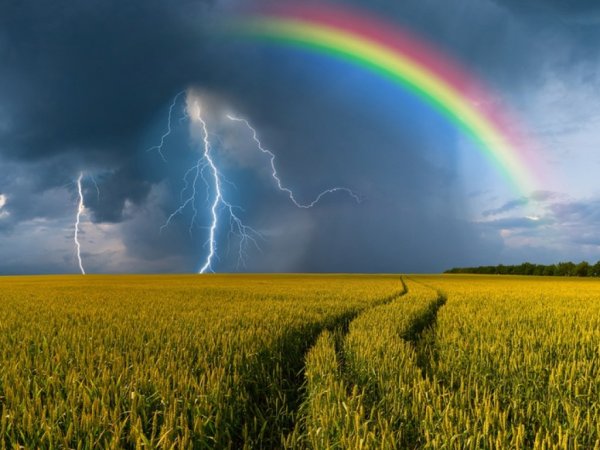 Елдің басым бөлігінде найзағай, бұршақ және қатты ыстық күтіледі