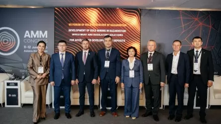 Золотая лихорадка XXI века: как РК планирует покорить мировой рынок драгметаллов