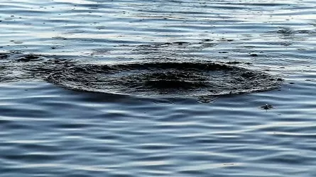 Павлодарца унесло течением на реке Иртыш