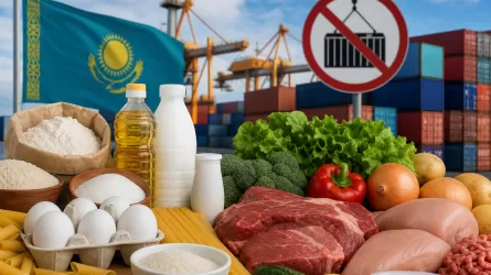 Казахстан ограничит импорт по 39 продуктовым позициям 
