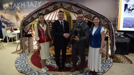 Казахский тазы триумфально представлен на World Dog Show 2026 