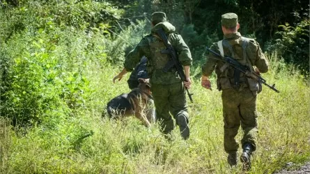 Оружие, наркотики и 1,5 млрд: что перехватили на границе Казахстана за месяц