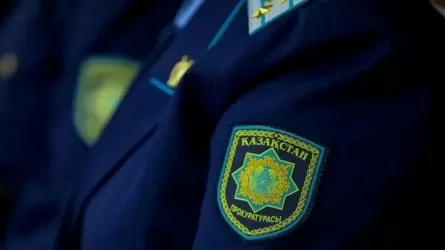 Десятки гектаров земли &laquo;ушли&raquo; мимо инвестора на юге Казахстана 