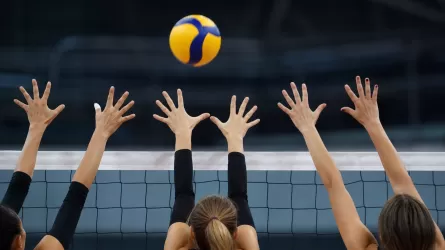 Определились все полуфиналистки AVC Cup