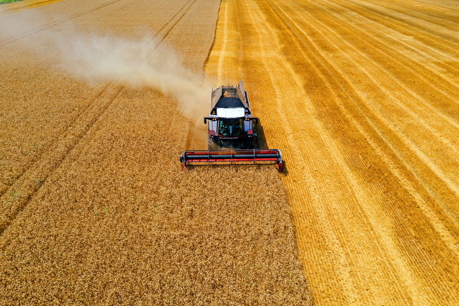Ел фермерлеріне 100 миллиард теңге жоғалту қаупі төнді