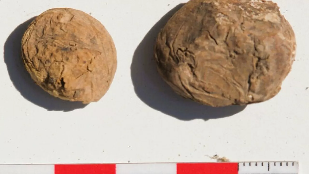 Археологи нашли в Перу 500-летние чипсы
