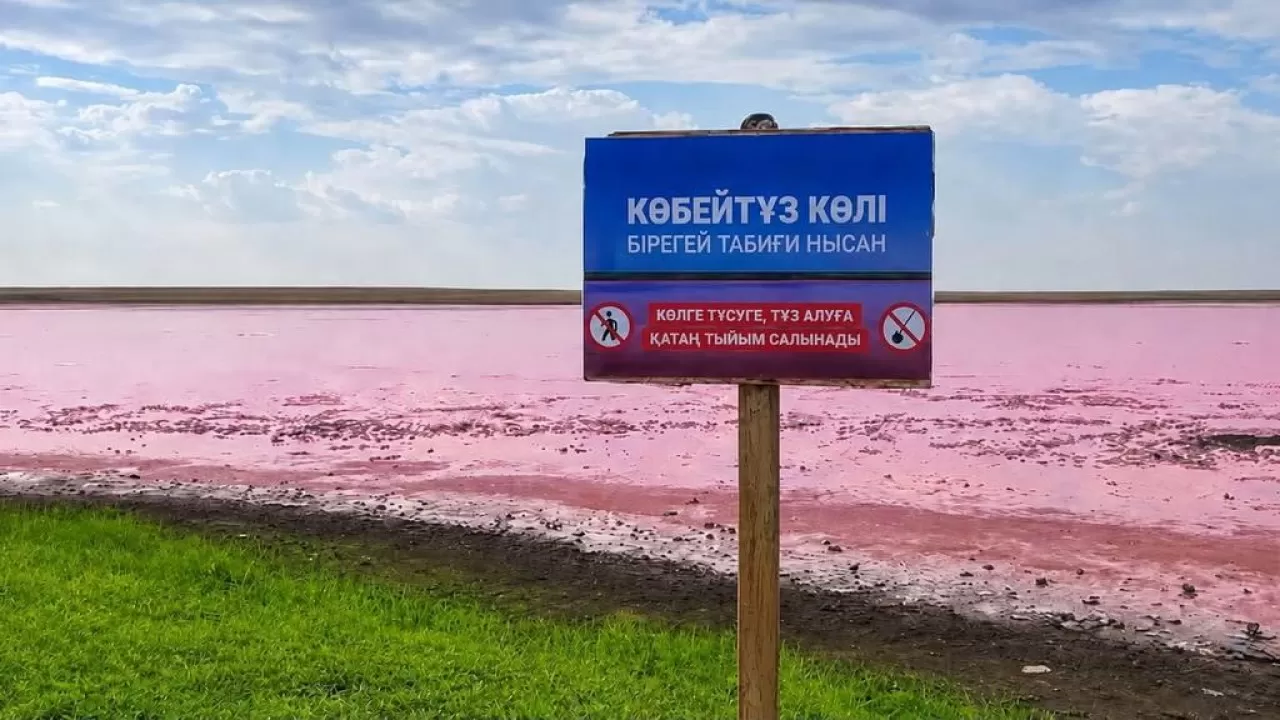 Розовое озеро под охраной: на Көбейтұзе ввели жесткие ограничения для туристов 