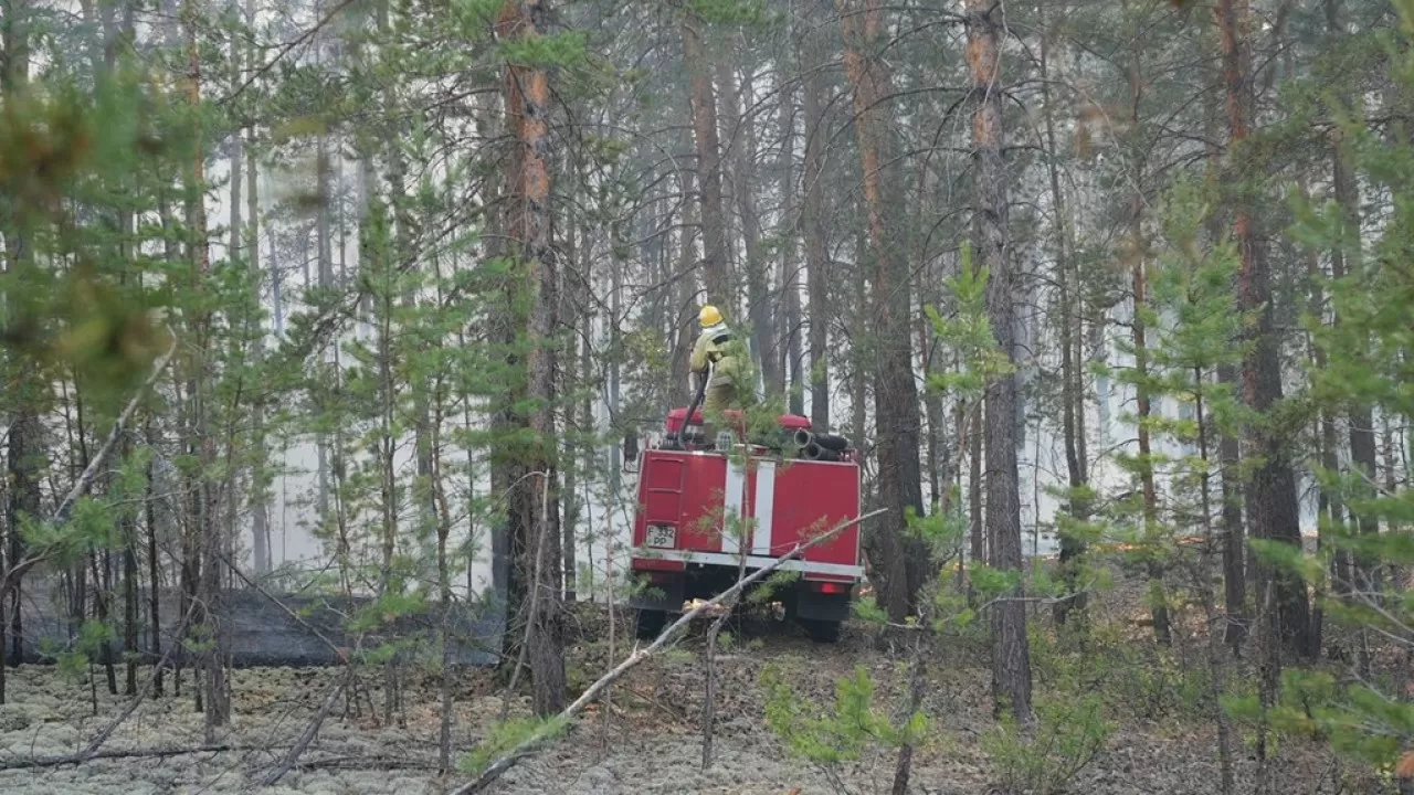 В еще одном нацпарке Казахстана горел лес