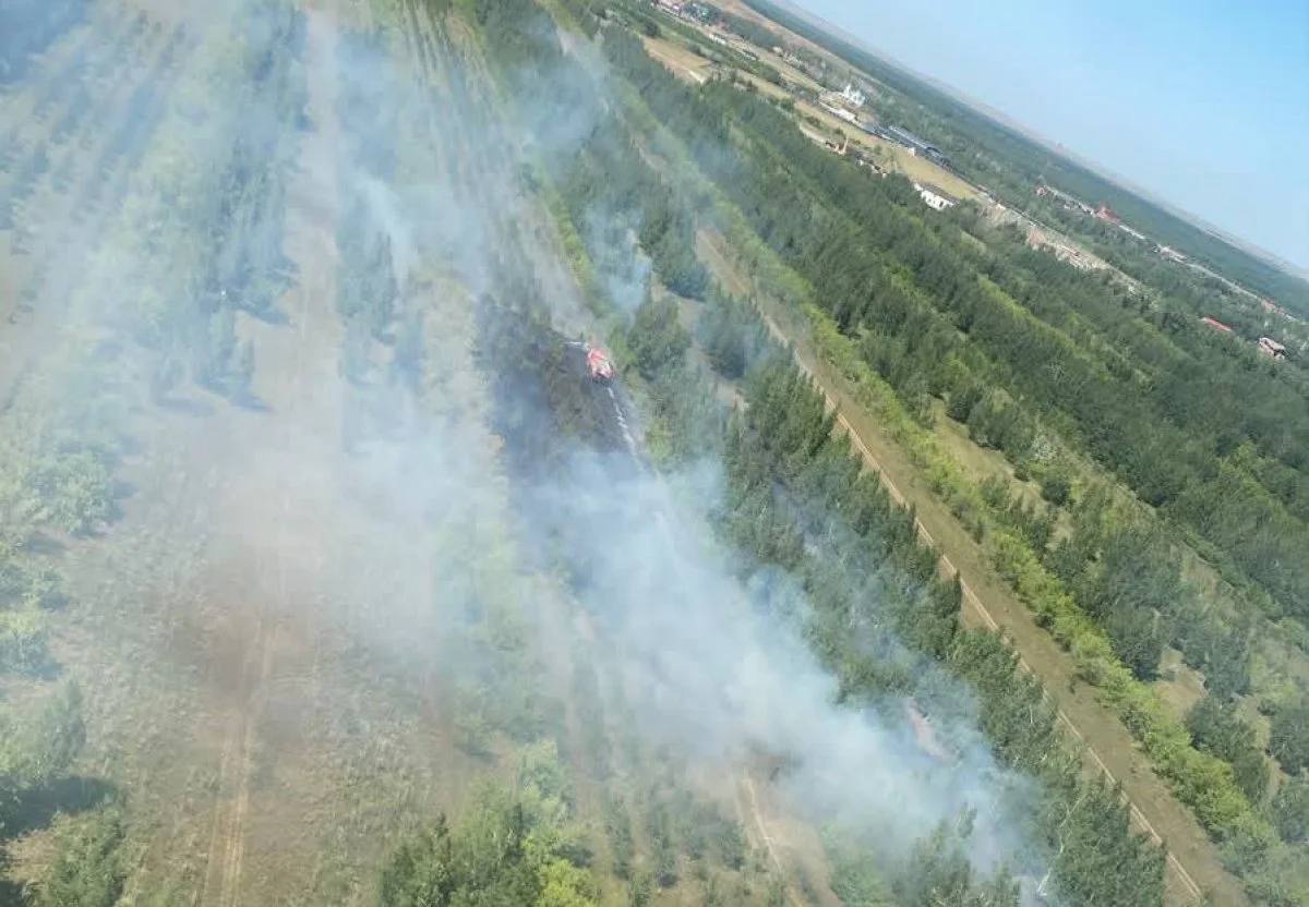Қазақстанда бір тәулікте 7 орман өрті тіркелді