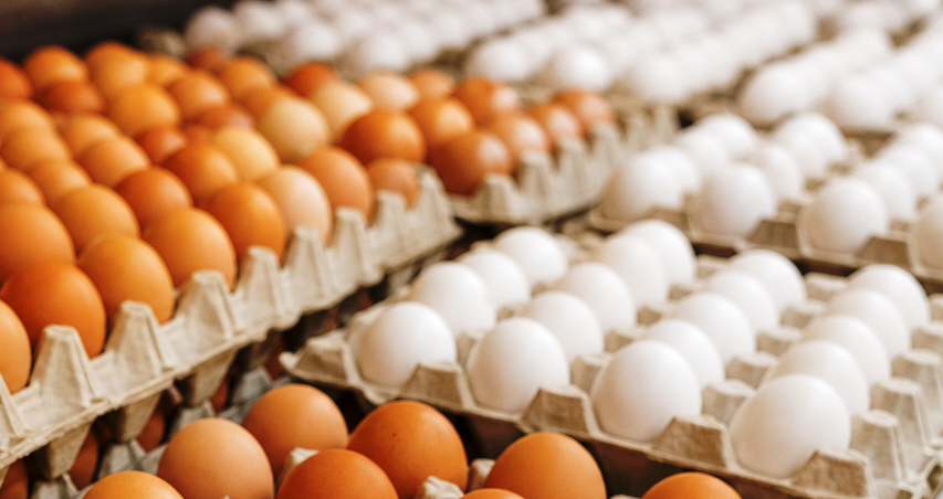 3,8% за год: яйца дорожают значительно быстрее соцпродуктов