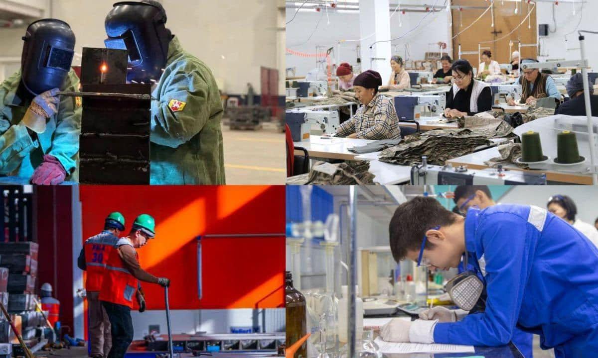 Түркістан облысында колледждерге 15,6 мың мемлекеттік грант бөлінді