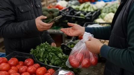 В Астане поймали афериста с поддельными чеками  