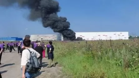 Работа склада Wildberries в Екатеринбурге приостановлена