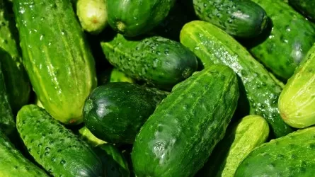 Огурцы возглавили список подешевевших продуктов в Казахстане 