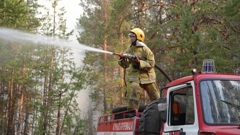 Қостанай облысында орман өрті дер кезінде сөндірілді