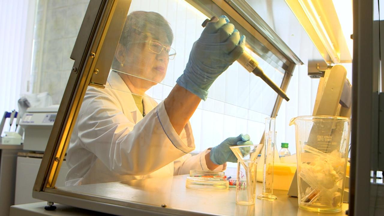 Казахстанские ученые создадут инновационный молочный продукт на основе наурыз көже  
