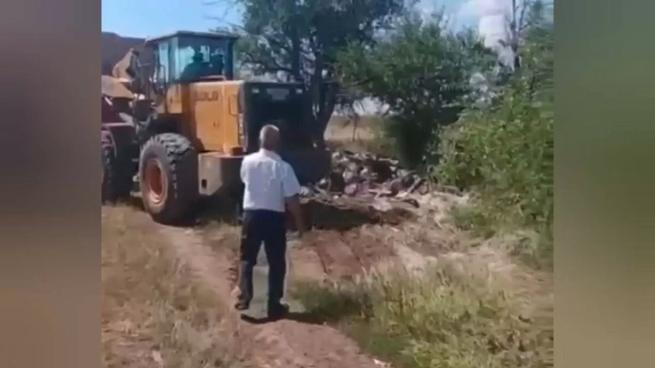 Сотрудники больницы выбросили служебные документы на свалку в Актобе