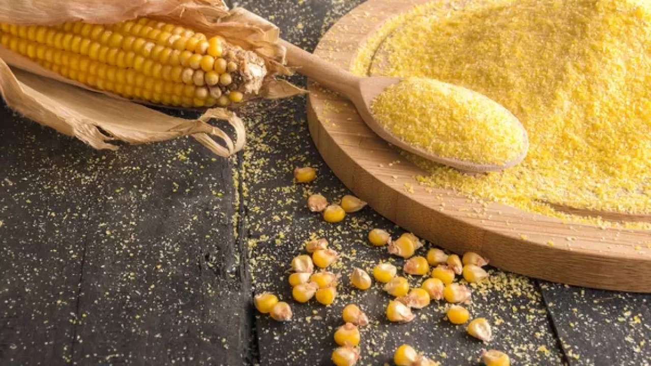 Отходы кукурузы стали удобрением 