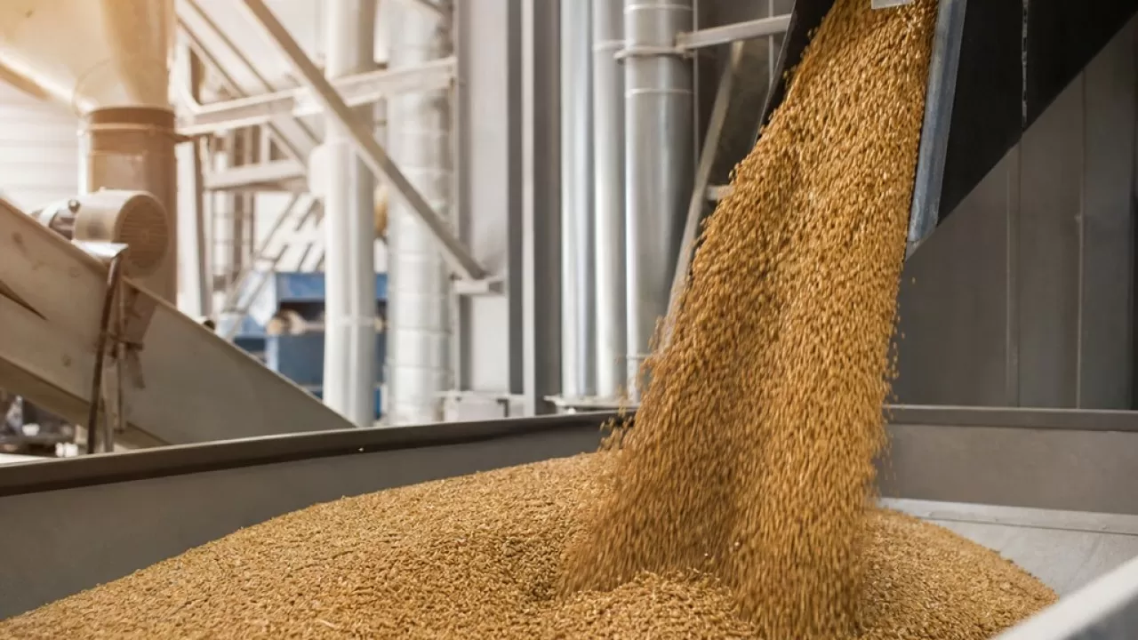 Свыше половины экспорта АПК Казахстана пришлось на готовую продукцию