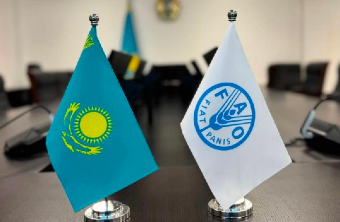 Қазақстан мен ФАО агроөнеркәсіп кешенін цифрландыру бойынша ынтымақтастықты күшейтеді