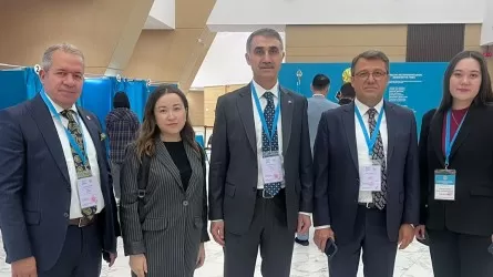 Қазақстандағы Құрылтай сайлауы кәсіби деңгейде өтіп жатыр &ndash; Түркия Жоғары сайлау кеңесінің төрағасы