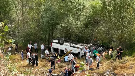 В Турции микроавтобус улетел в кювет