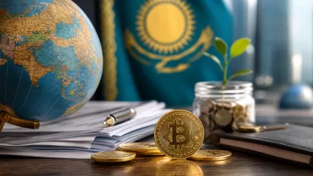 Иностранцам предложили еще один способ снизить налоги через Казахстан 