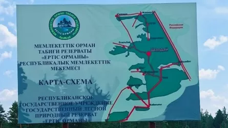 В &laquo;Ертіс орманы&raquo; вход станет платным: кто сможет проходить бесплатно