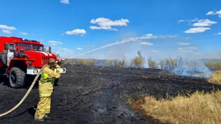 Пламя остановили в двух областях: угрозы населенным пунктам нет