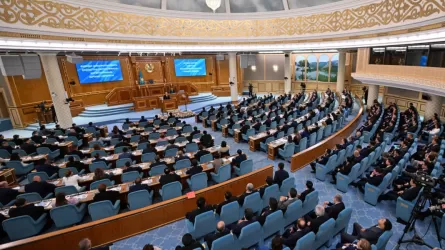 Произойдет обновление практически всех ключевых институтов власти &ndash; Токаев 