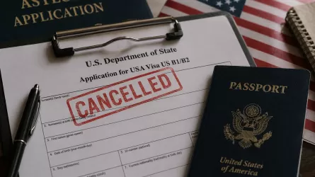 Готовится крупнейшее в истории США массовое аннулирование виз
