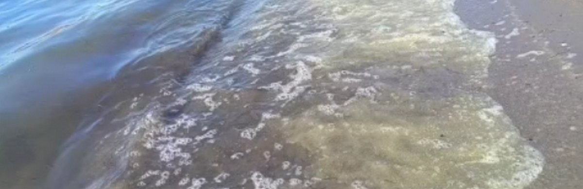 Маңғыстауда Каспий теңізінің бетінде май тәрізді дақ анықталды