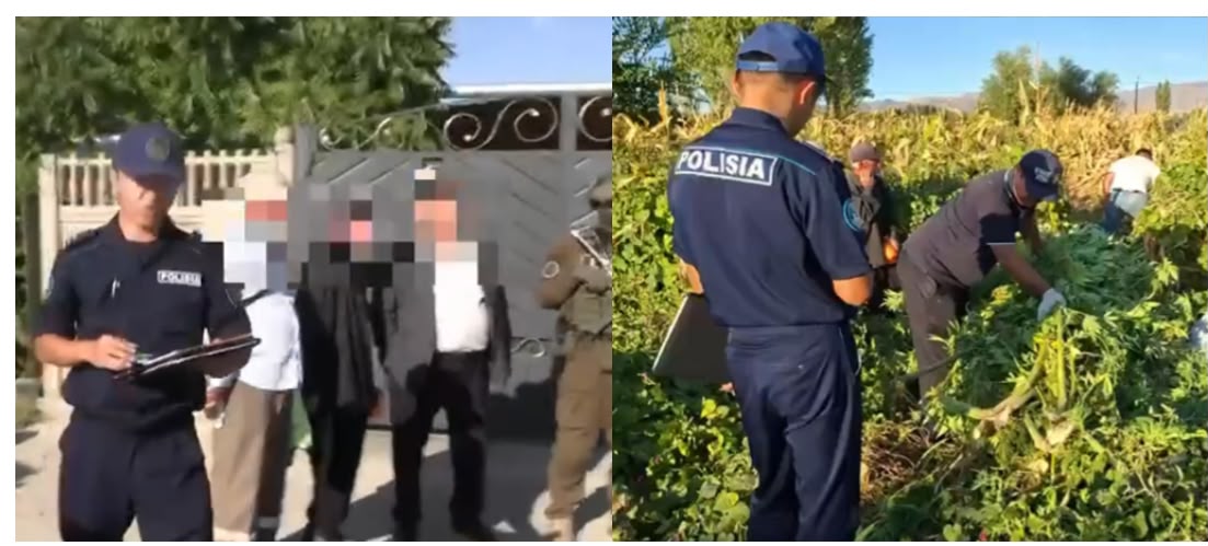 Жамбыл облысында үй жанындағы алқаптан 140 келі қарасора тәркіленді
