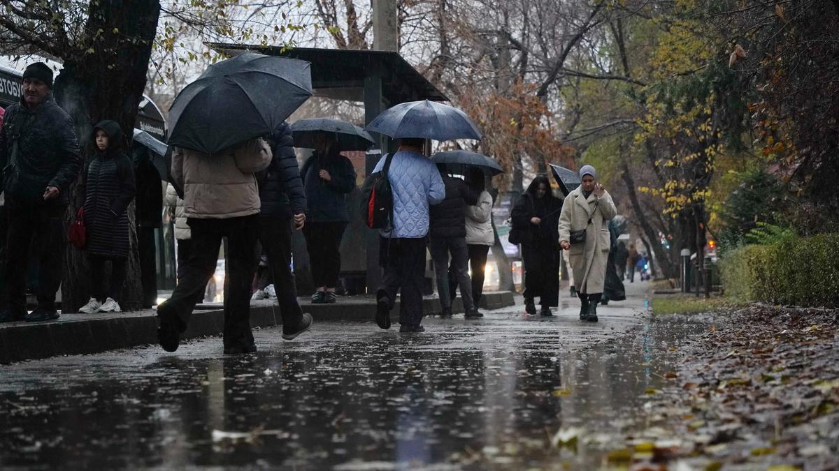 Қазақстанда түнде 3 градусқа дейін үсік түседі