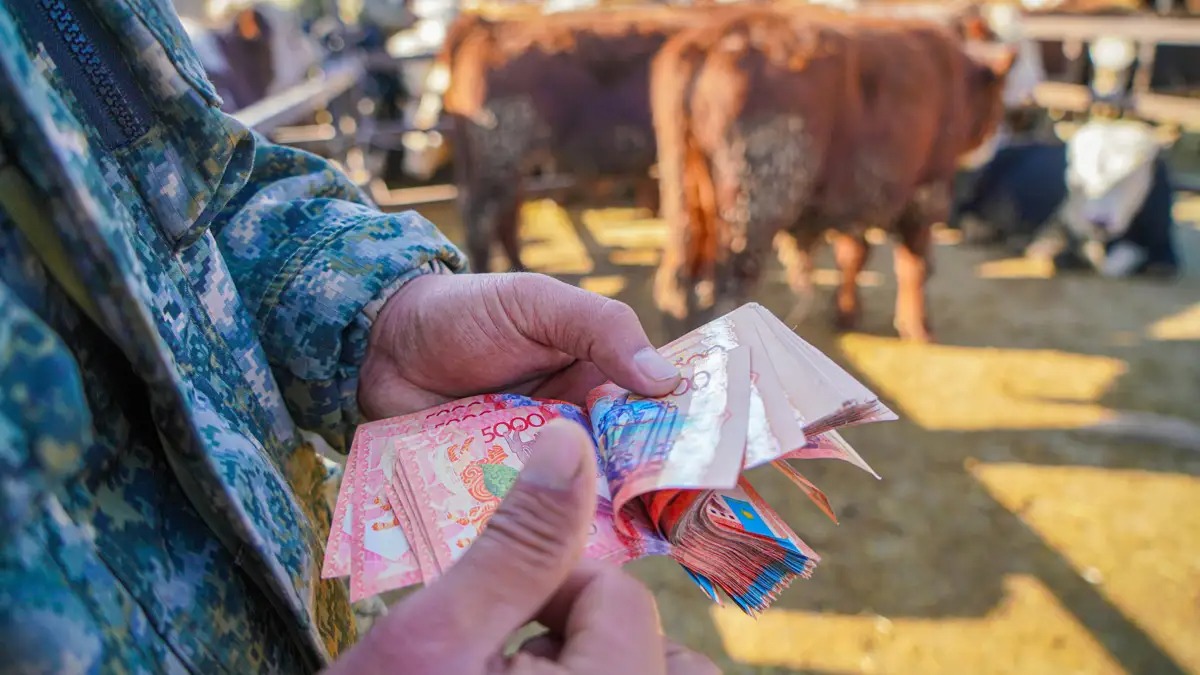 Ақмола облысында 50 млн теңге субсидияны жымқыру дерегі тергеліп жатыр