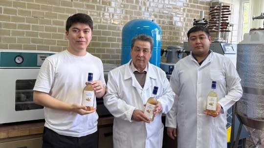 Мед и имбирь объединили в новом функциональном напитке в Казахстане  