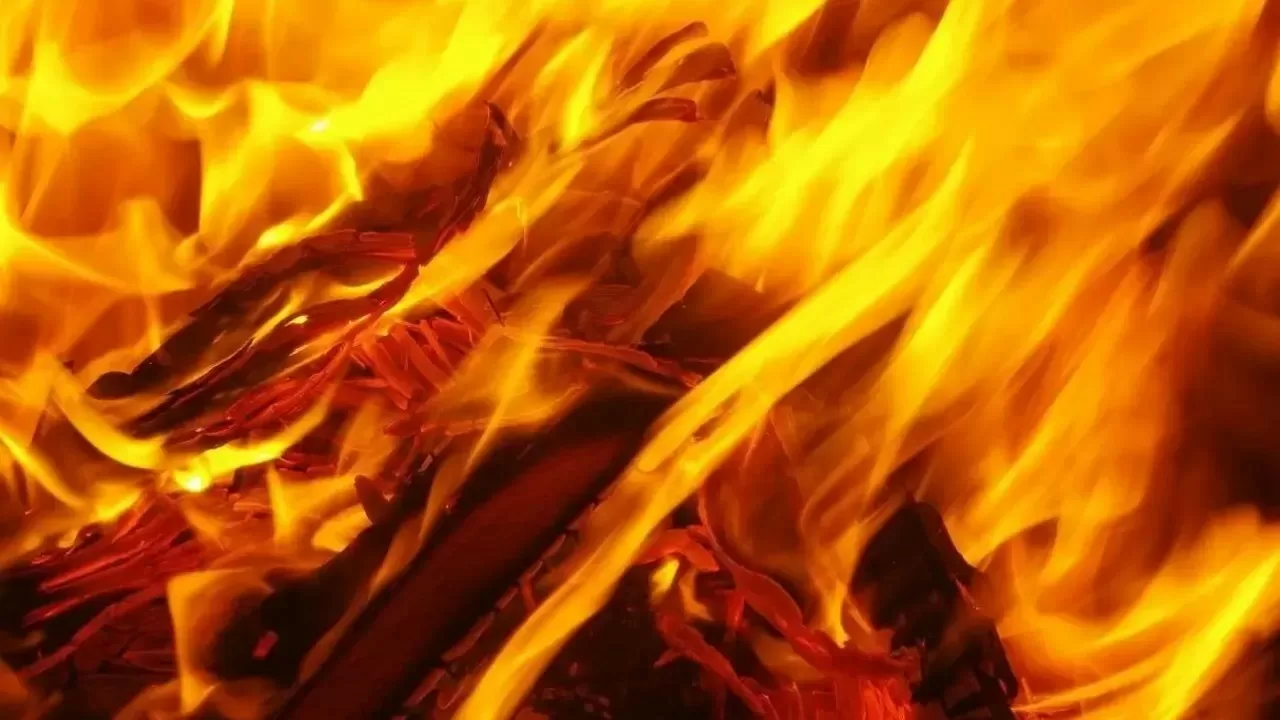 Сильный пожар вспыхнул у дачных участков в СКО